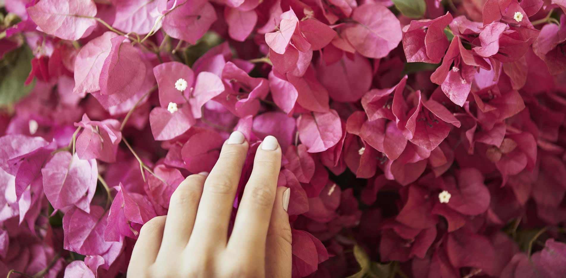 Anassa Thalassa Spa Treatments