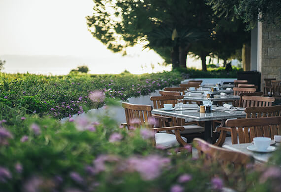 Amphora Restaurant