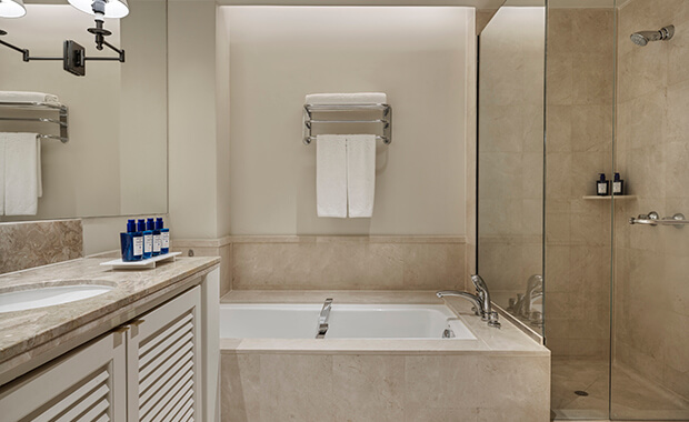 Garden View Room Bathroom