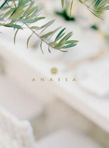 Anassa Weddings Brochure