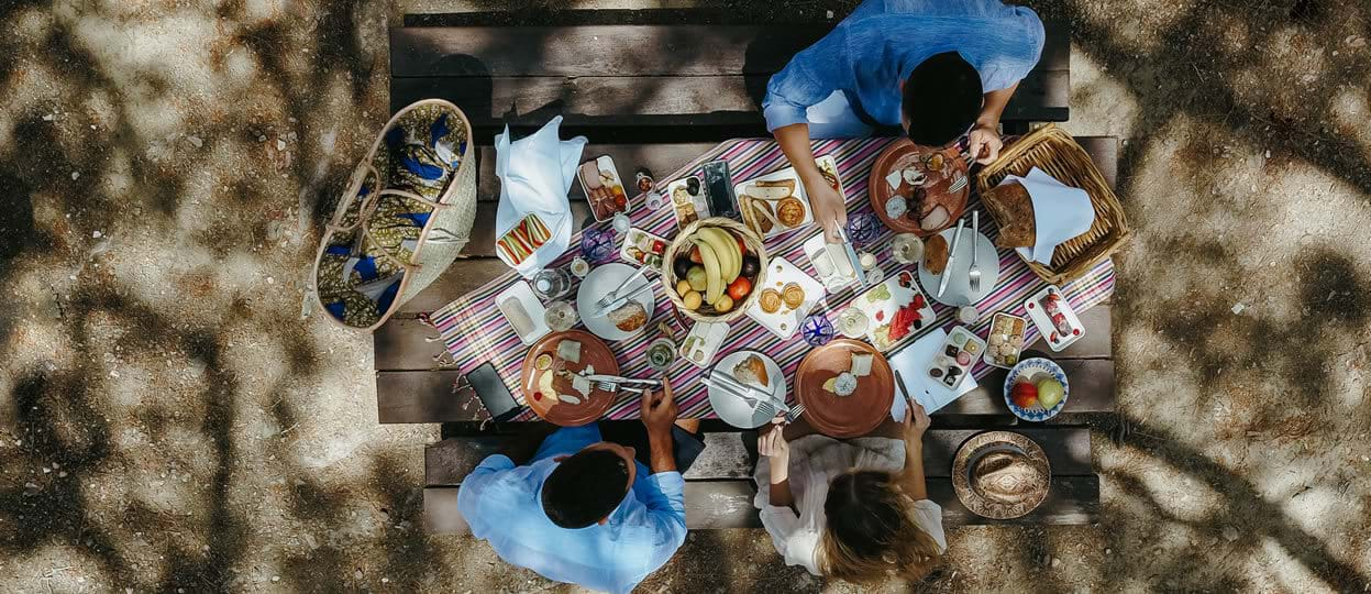 Let’s Go on a Picnic!