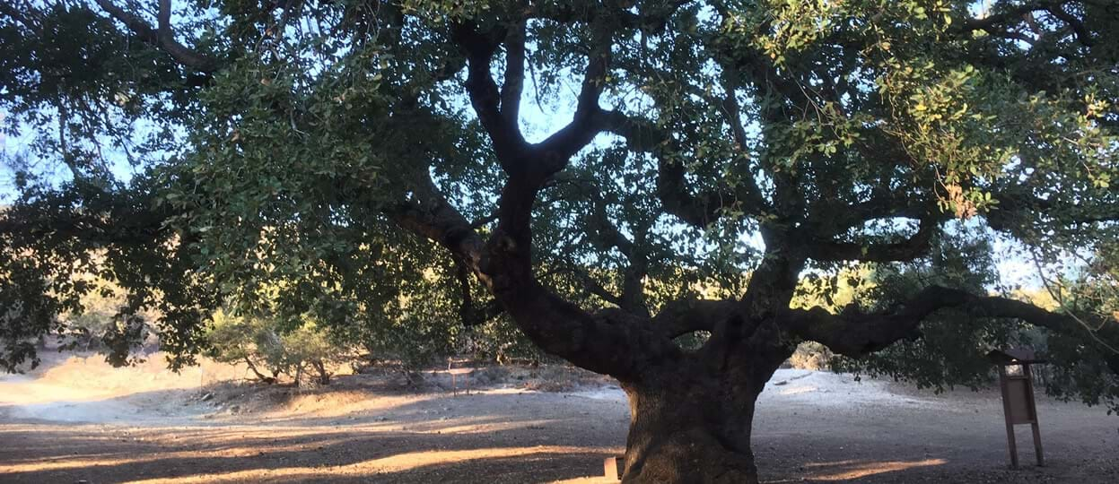 A Hike on the Adonis Trail