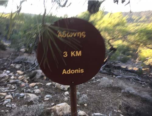 adonis trail