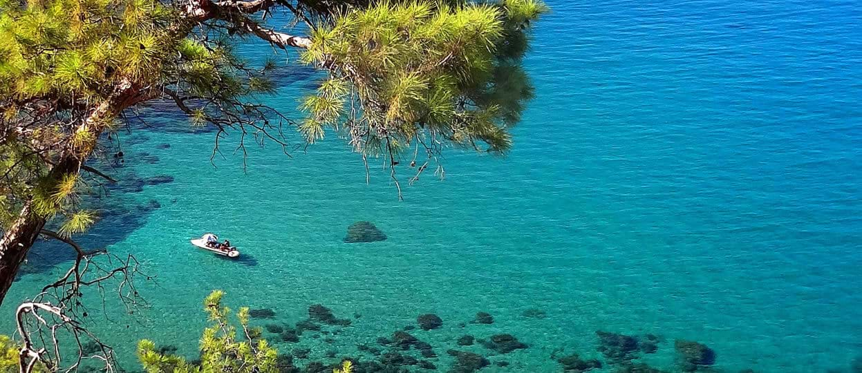 The Birds of the Akamas Peninsula