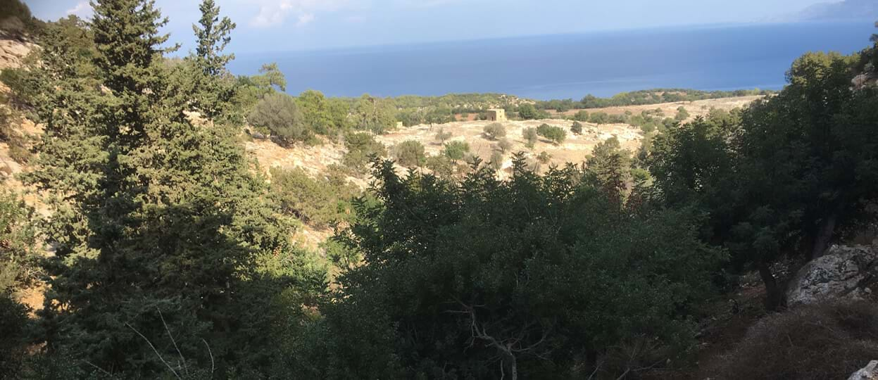 A Hike on the Aphrodite Trail