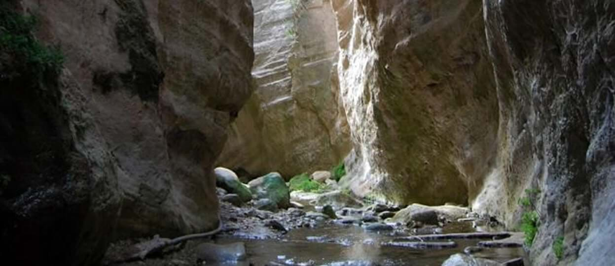 Avakas Gorge