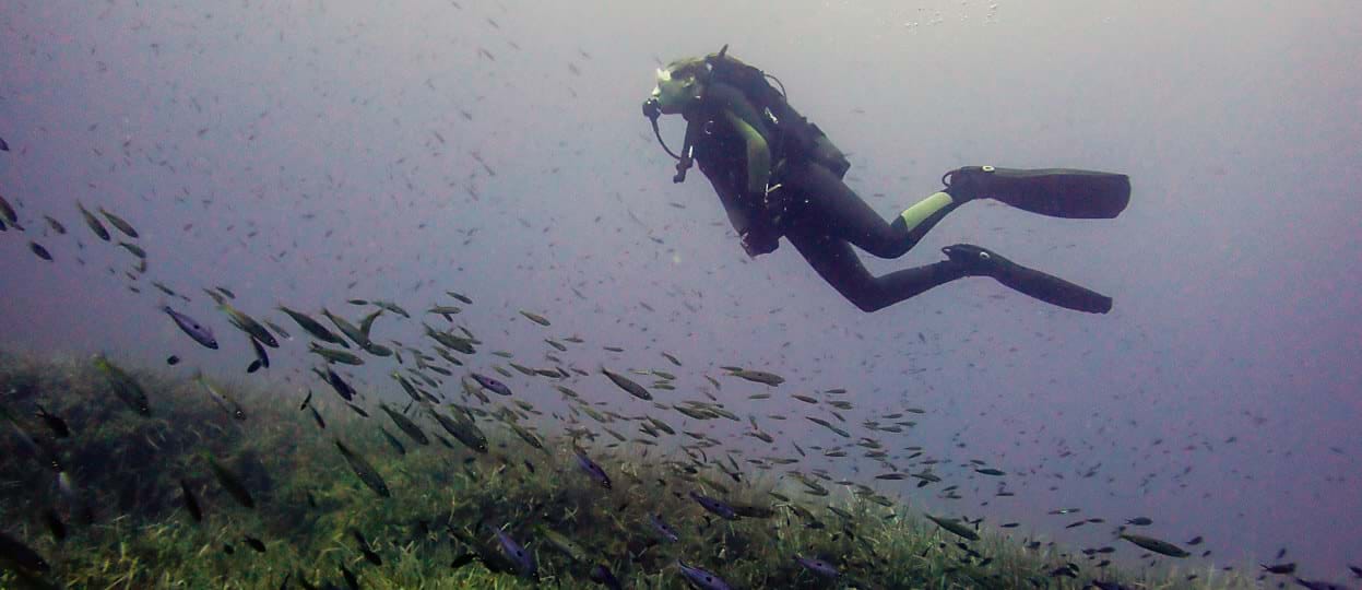 Diving at St. George’s Island