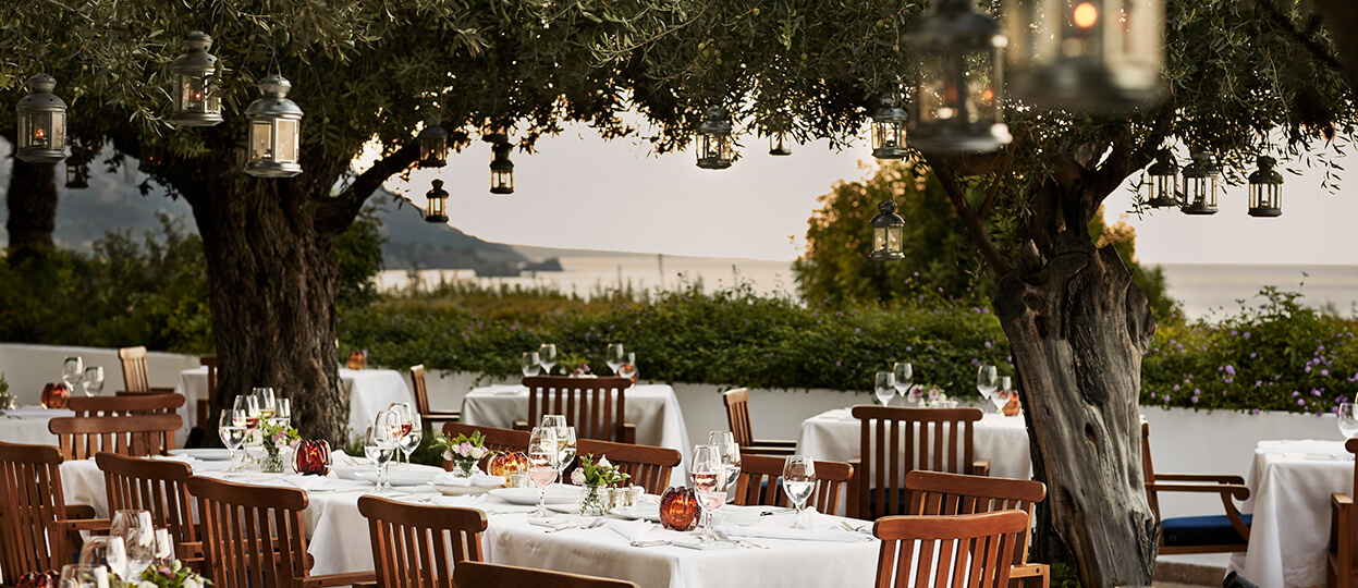 We are proud to share that we have been honored with three restaurant awards at Cyprus