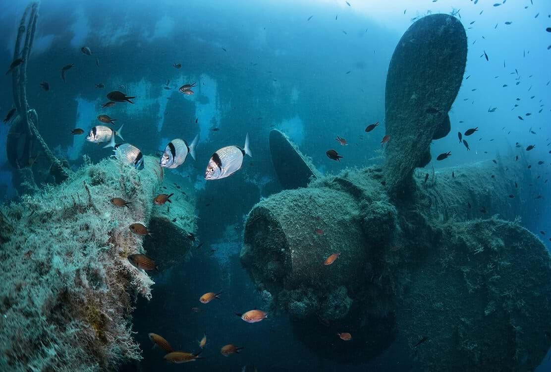 Diving into the Wreck of the Zenobia	