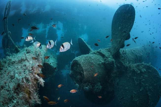 zenobia wreck