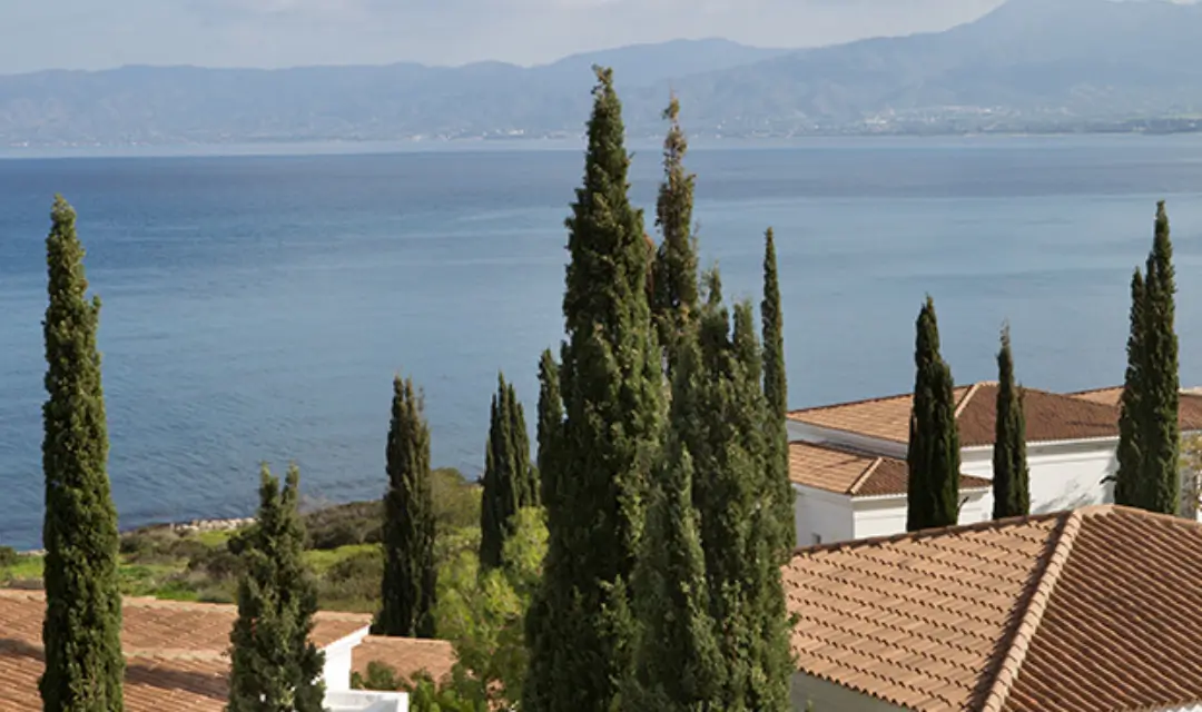 Panorama suite sea view